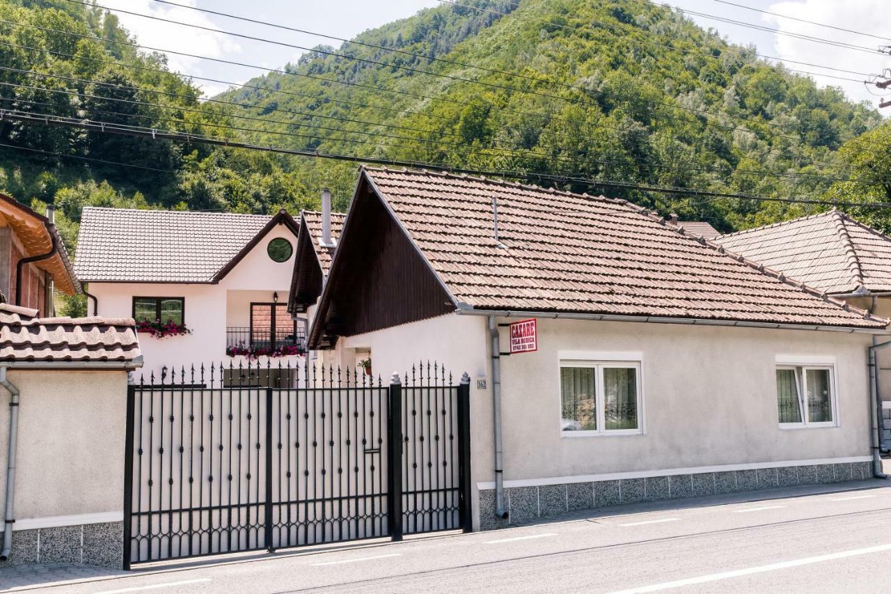 Vila Rodica Transalpina Şugag Exteriér fotografie