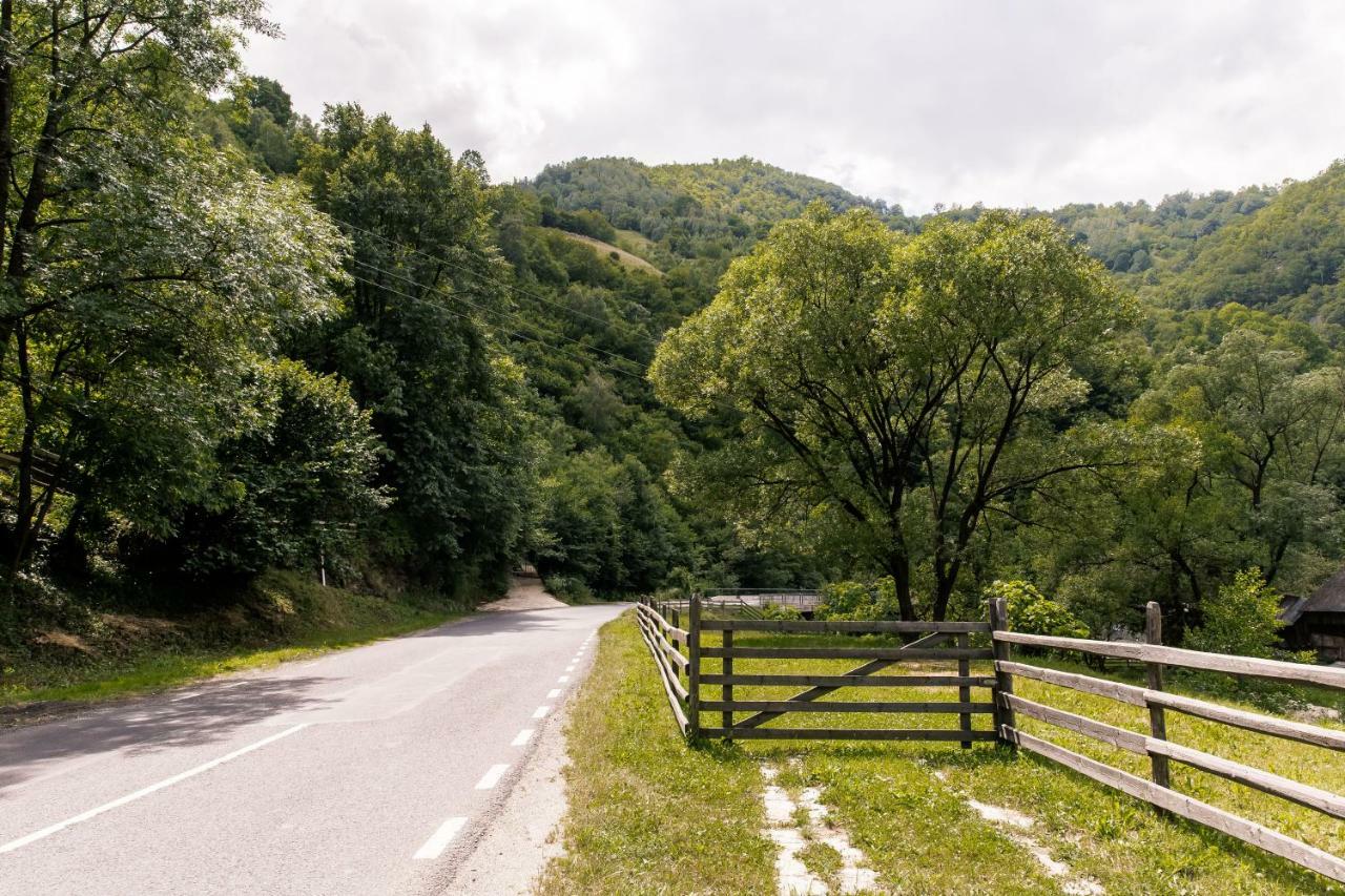 Vila Rodica Transalpina Şugag Exteriér fotografie